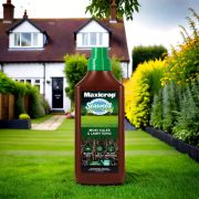 Work with your garden’s natural growing processes